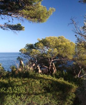 WAKE-UP2 TOUT EST INFORMATION EN PRÉSENCE DE CHRISTOPHE COSSÉ