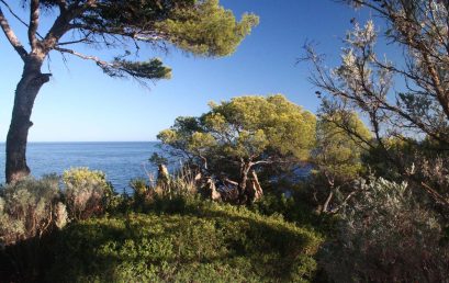 WAKE-UP2 TOUT EST INFORMATION EN PRÉSENCE DE CHRISTOPHE COSSÉ