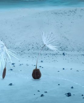 PLANÈTES EN PRÉSENCE DE MOMOKO SETO